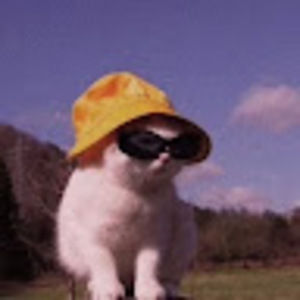 Meet your Posher, Jayleen